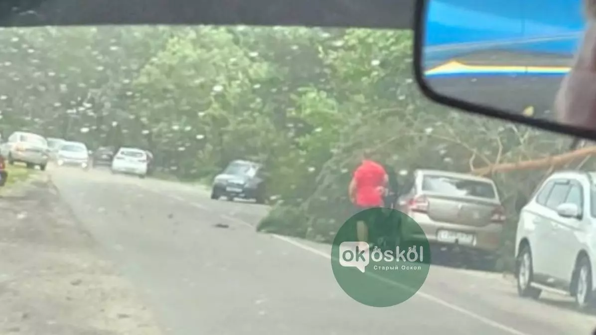 Непогода вновь обрушилась на Белгородскую область: фото и видео очевидцев14