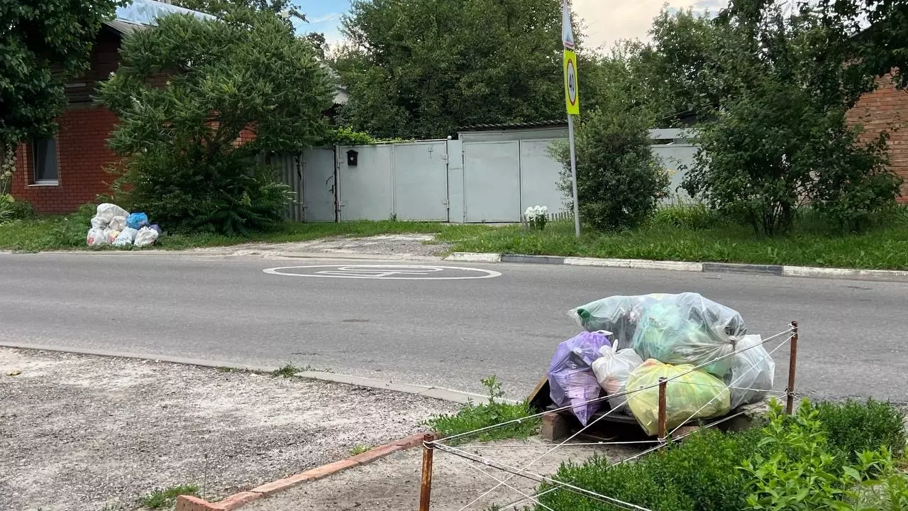 «Нестерпимая вонь». Жители частных домов в Белгороде тонут в мусоре и просят помощи9