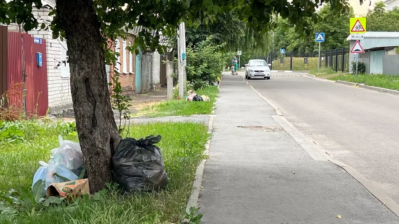 «Нестерпимая вонь». Жители частных домов в Белгороде тонут в мусоре и просят помощи10