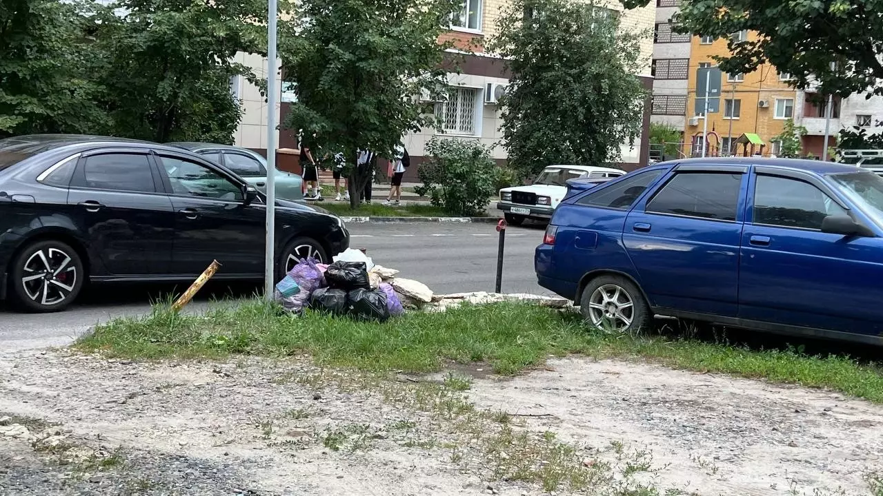 «Нестерпимая вонь». Жители частных домов в Белгороде тонут в мусоре и просят помощи11