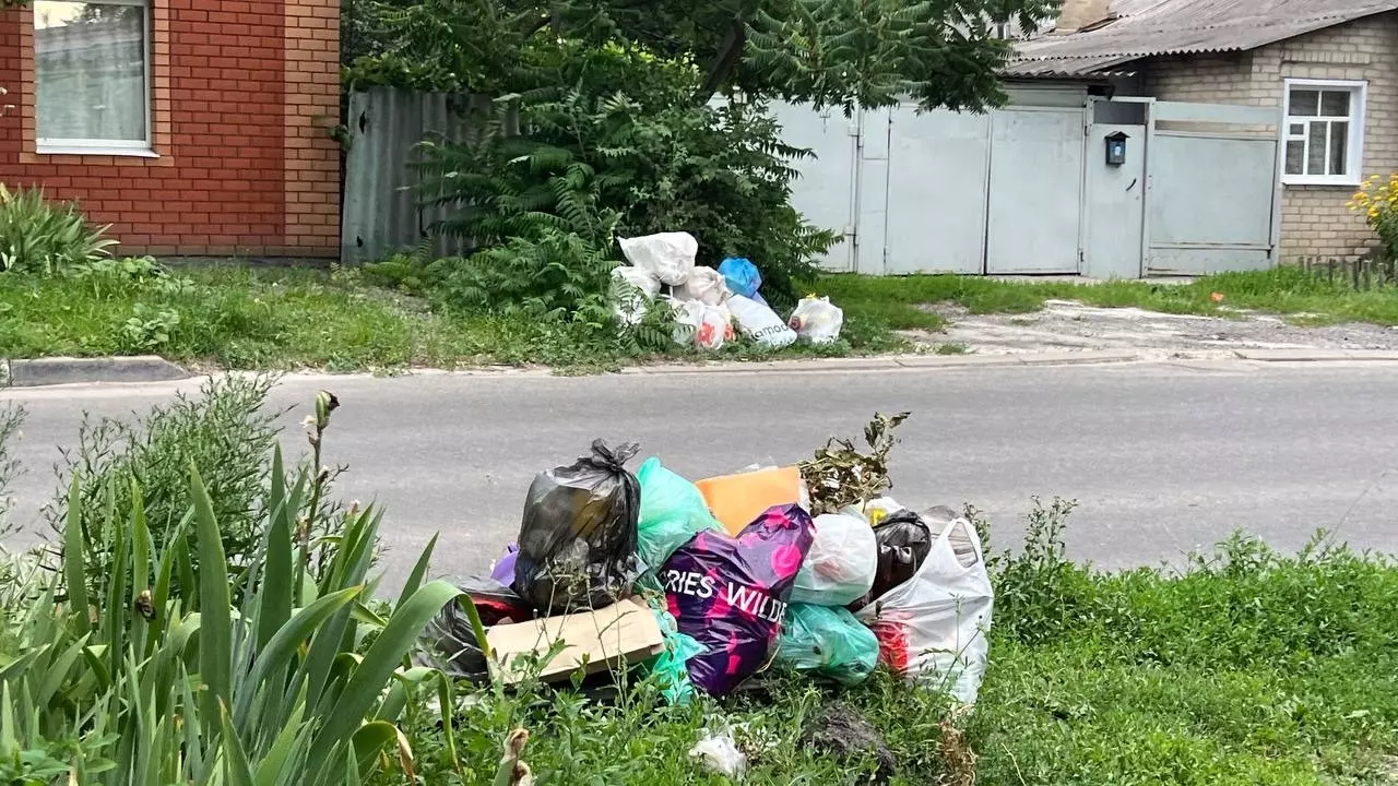 «Нестерпимая вонь». Жители частных домов в Белгороде тонут в мусоре и просят помощи5