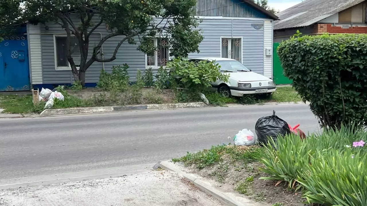 «Нестерпимая вонь». Жители частных домов в Белгороде тонут в мусоре и просят помощи6