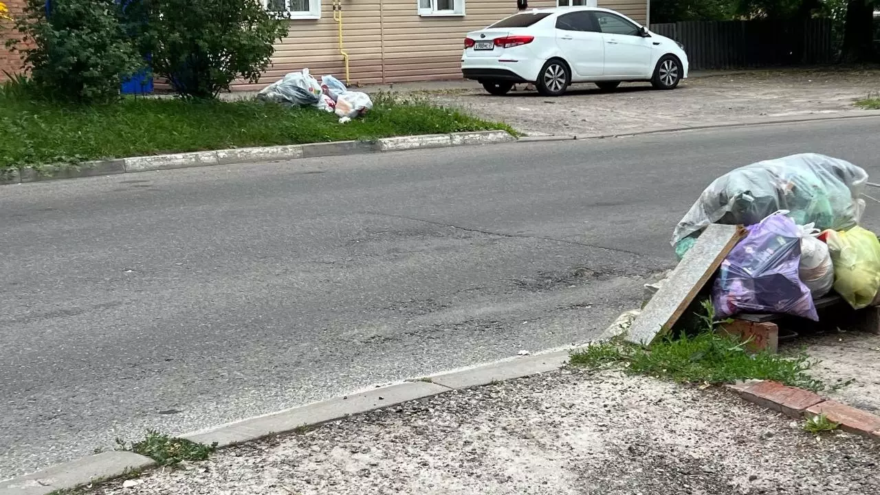 «Нестерпимая вонь». Жители частных домов в Белгороде тонут в мусоре и просят помощи12