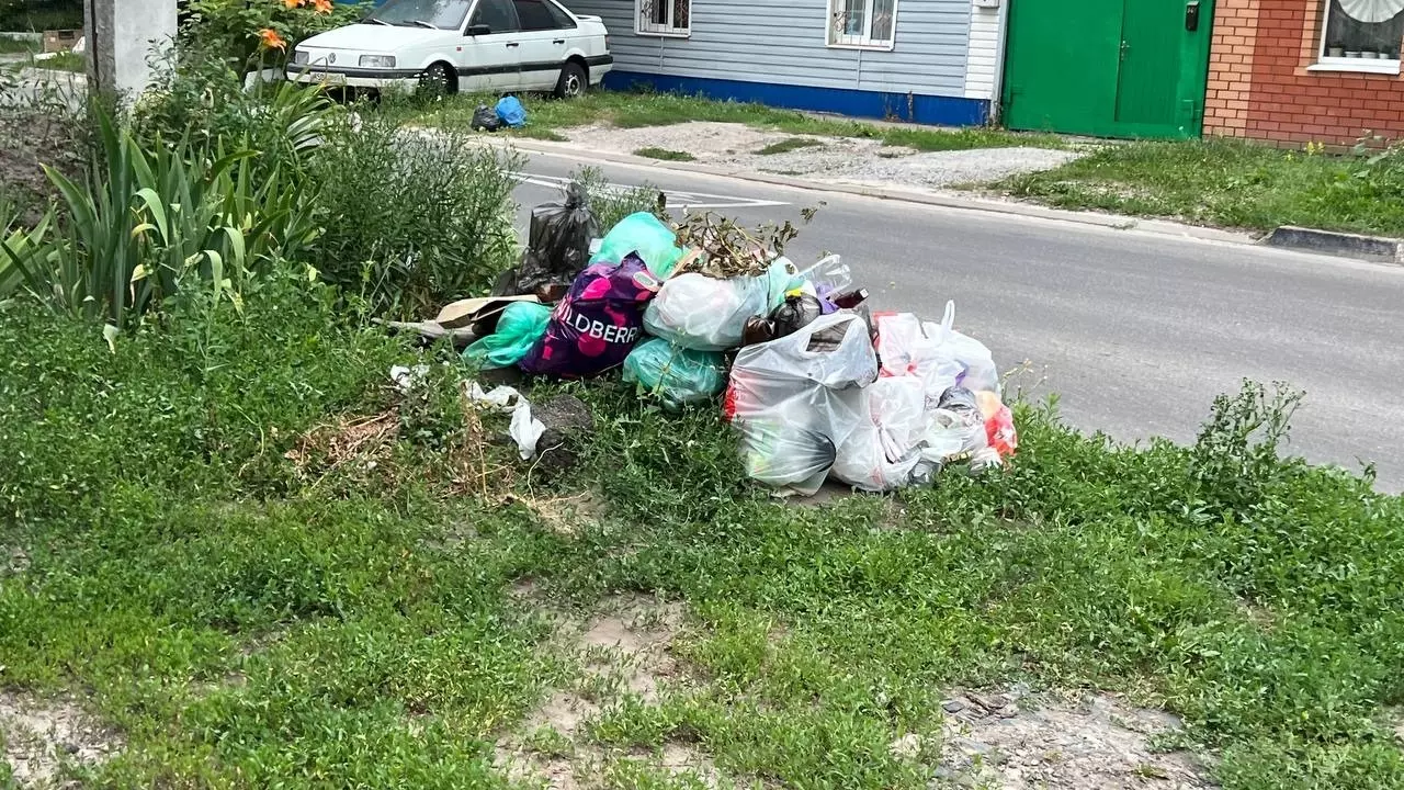 «Нестерпимая вонь». Жители частных домов в Белгороде тонут в мусоре и просят помощи0