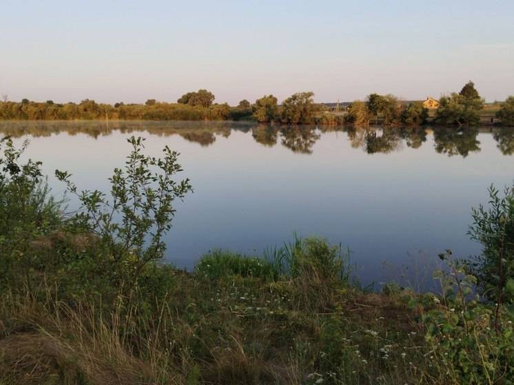 Прокуратура проверит информацию о загрязнении водоема в Старооскольском округе