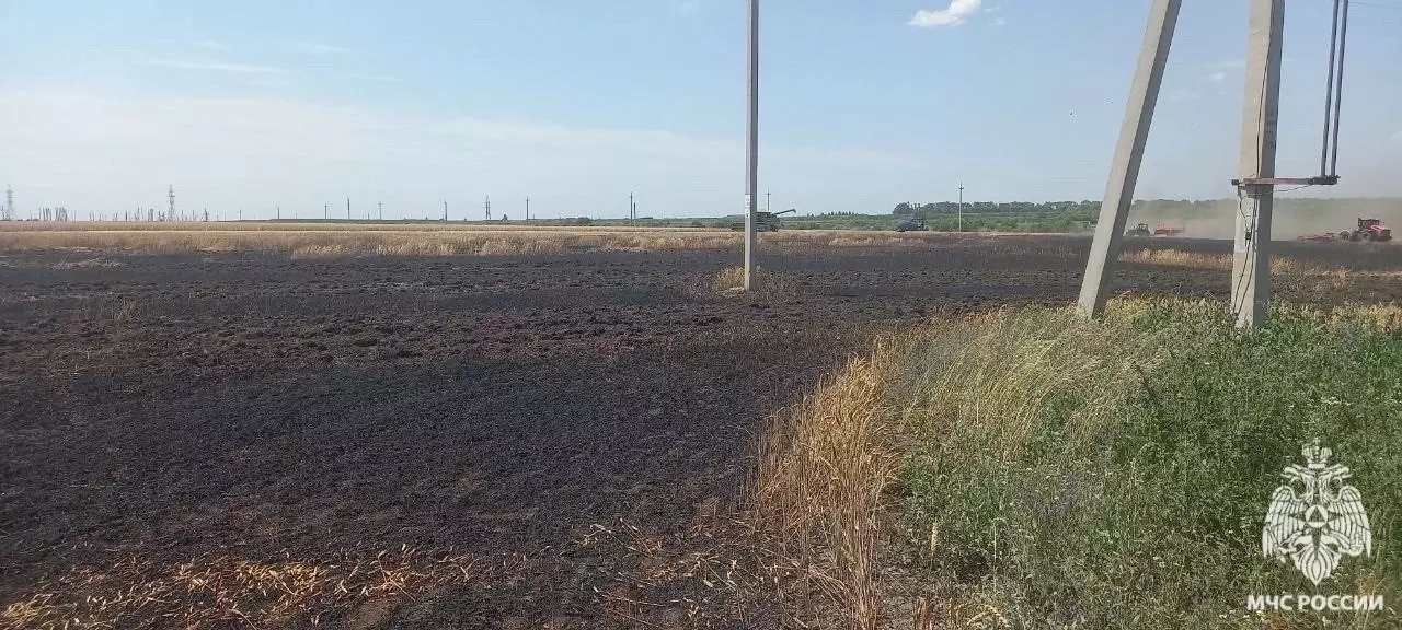 В Белгородской области вспыхнуло пшеничное поле3