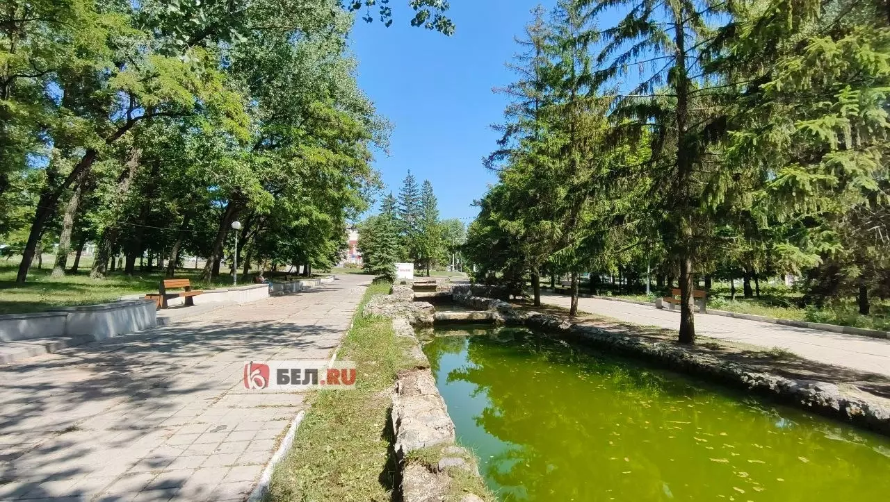 В память о чистой воде: в фонтане в парке в Белгороде позеленела вода0