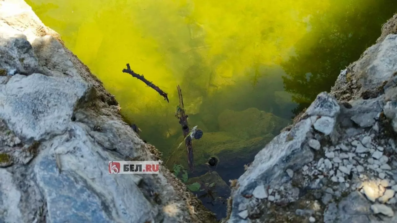 В память о чистой воде: в фонтане в парке в Белгороде позеленела вода13