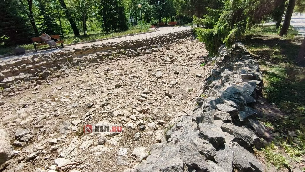 В память о чистой воде: в фонтане в парке в Белгороде позеленела вода1