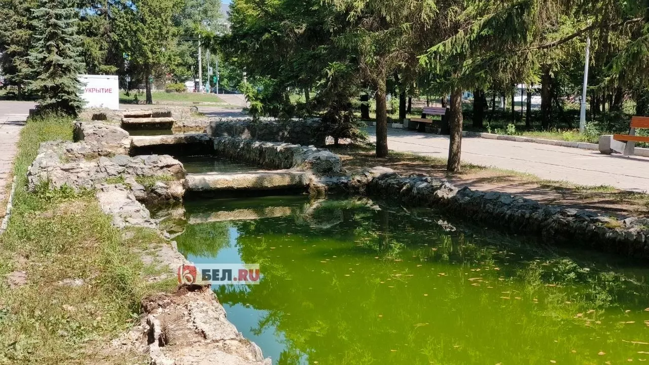 В память о чистой воде: в фонтане в парке в Белгороде позеленела вода3