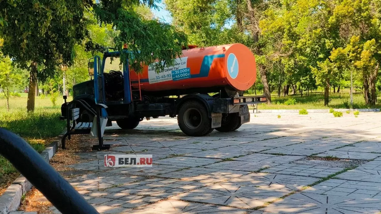 В память о чистой воде: в фонтане в парке в Белгороде позеленела вода14