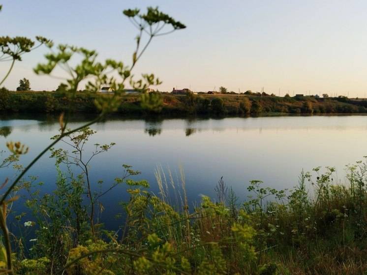 Во вторник в Белгородскую область придут дожди и грозы