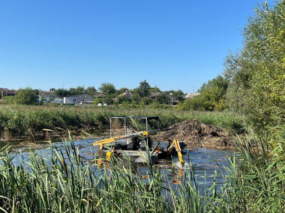 В селе Мелихово Белгородской области стартовала очистка водоёма