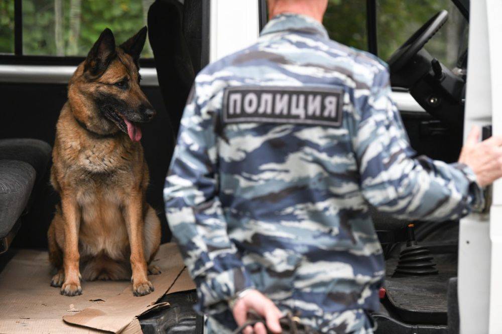 Полицейские ЯНАО задержали группу наркоторговцев из ХМАО