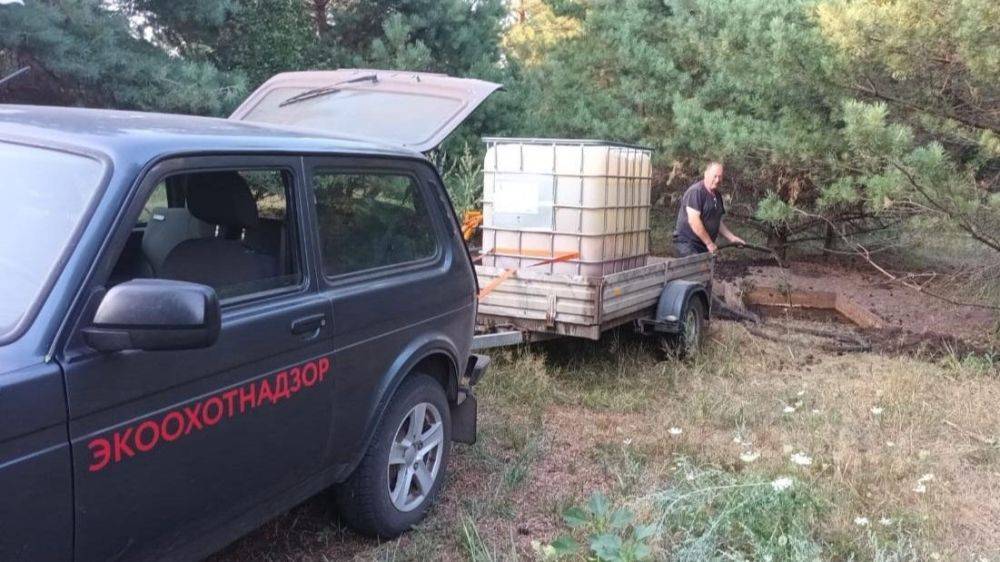 В белгородских лесах установили поилки для диких животных