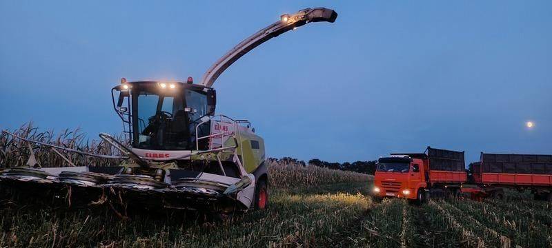 В Красногвардейском районе продолжается уборка кукурузы на силос и зелёный корм