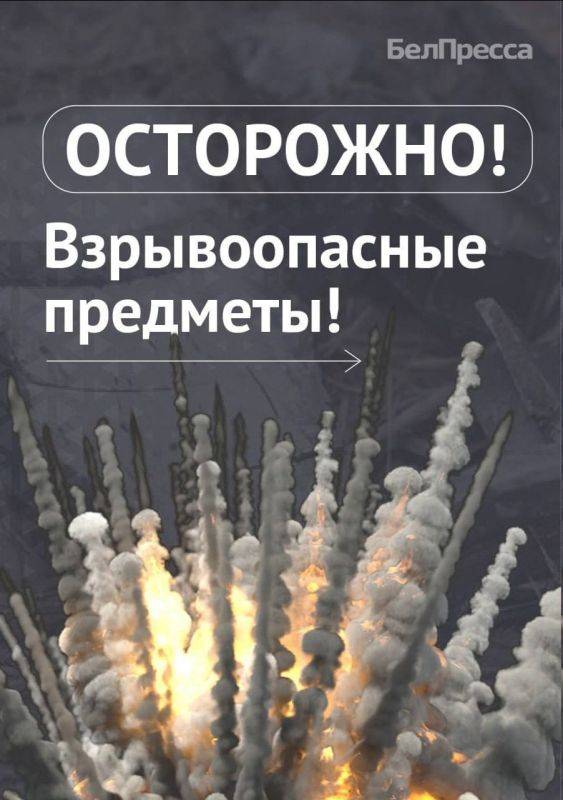 Напоминаем о том, как действовать в случае обнаружения взрывоопасного предмета или остатков от боеприпасов