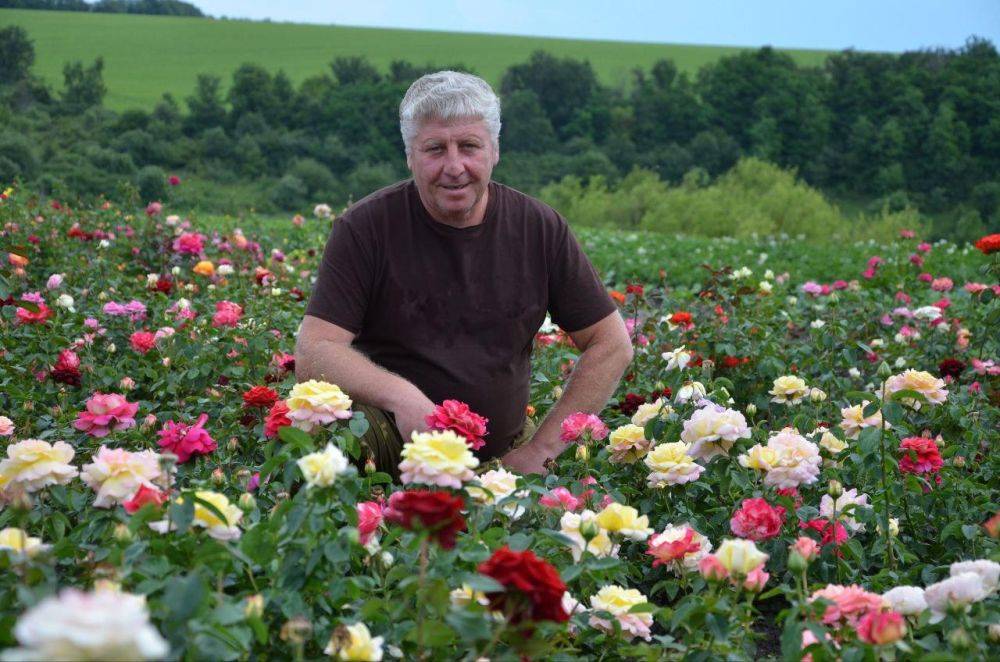 С начала года участниками губернаторской программы «Содействие» стали 66 жителей нашего района