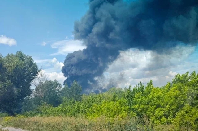 Белгородец угрожал ножом кассиру на АЗС и требовал энергетик и сигареты1