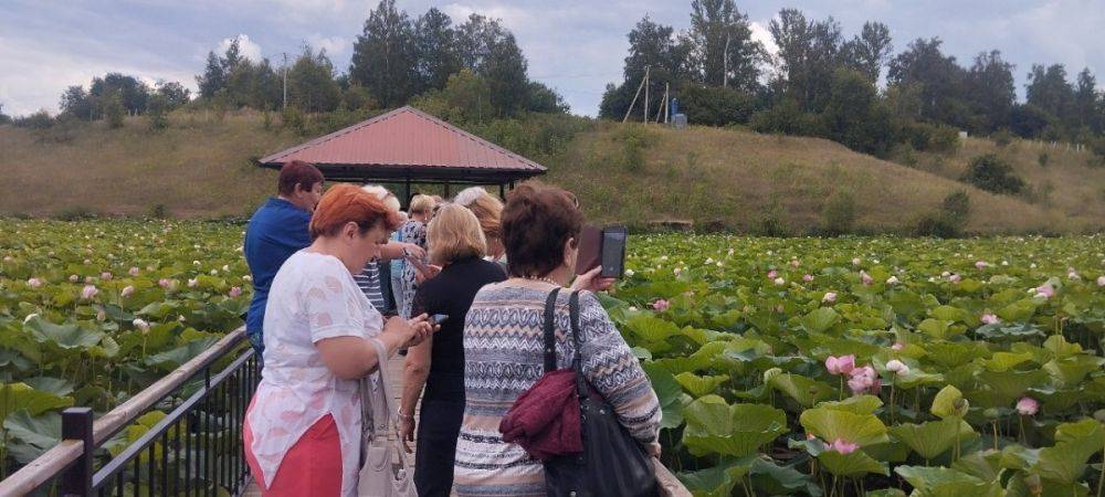 В рамках проекта «К соседям в гости» Яковлевский горокруг Белгородской области посетили туристы из Старого Оскола