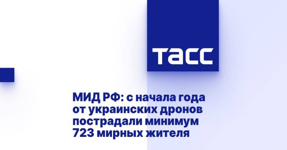 МИД РФ: с начала года от украинских дронов пострадали минимум 723 мирных жителя