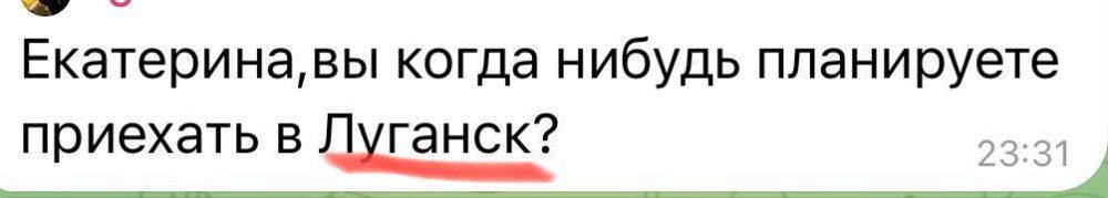 Екатерина Мизулина: Планировала в ЛНР, ДНР и Белгородскую область еще весной