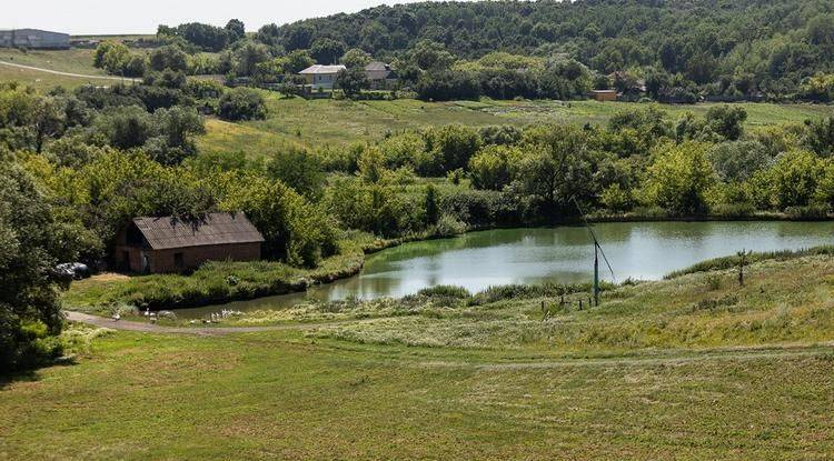 А дома – лучше. Чем славится небольшое чернянское село Лубяное