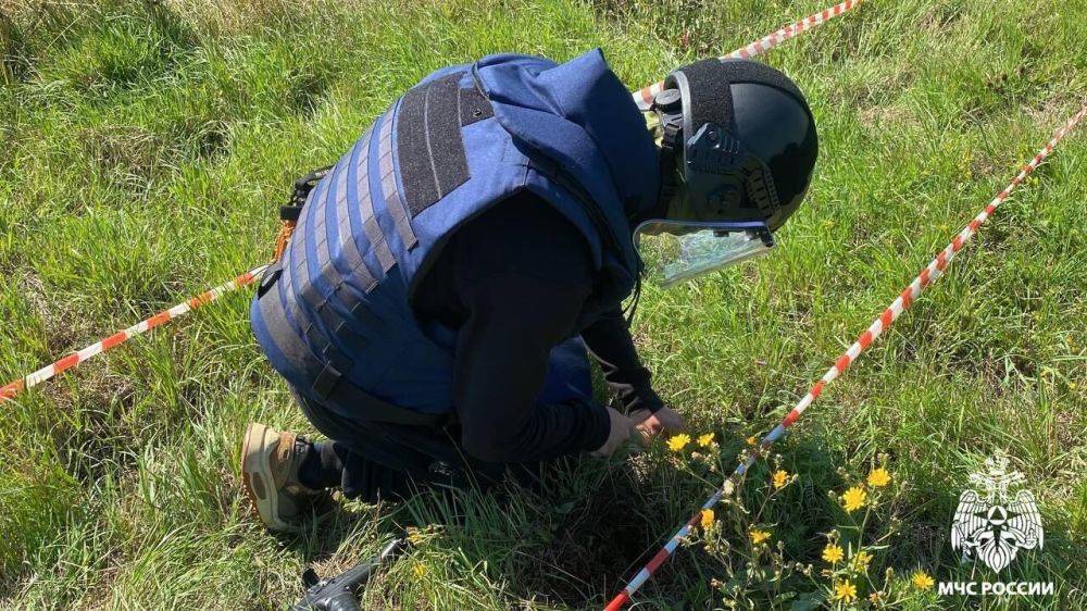 В Курской области от взрывоопасных предметов очистили около двух гектаров