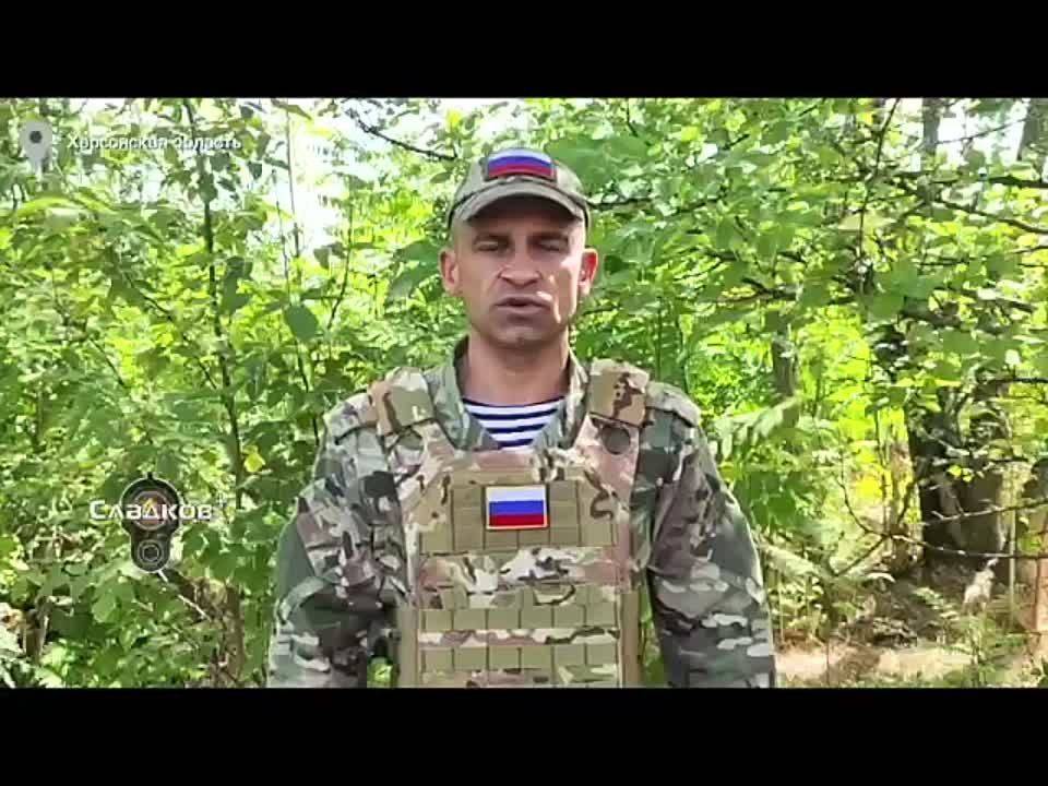 Александр Сладков: Так ребята, вот вам свежая сводка от моего родного Минобороны