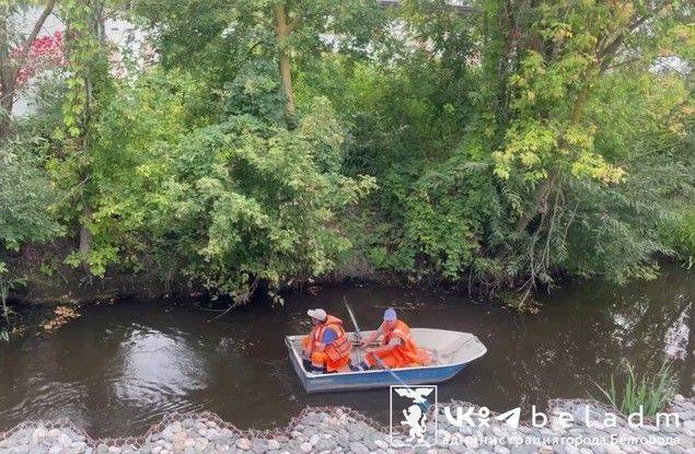 В Белгороде коммунальщики приводят в порядок реку Везёлку