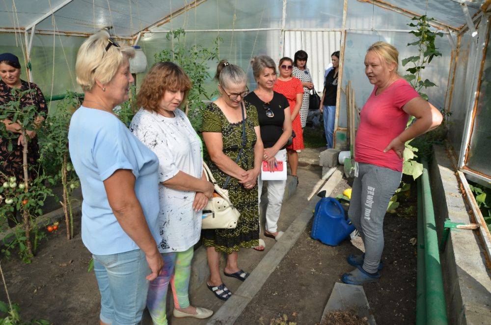 Фермеры Краснояружского района Белгородской области поделились опытом успешного развития хозяйств по выращиванию овощей