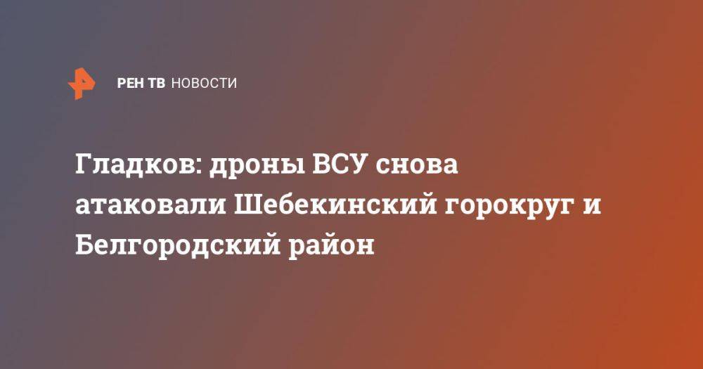 Гладков: дроны ВСУ снова атаковали Шебекинский горокруг и Белгородский район