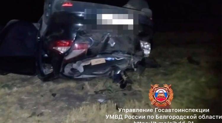 Двое молодых белгородцев погибли в ДТП, врезавшись на машине в дерево