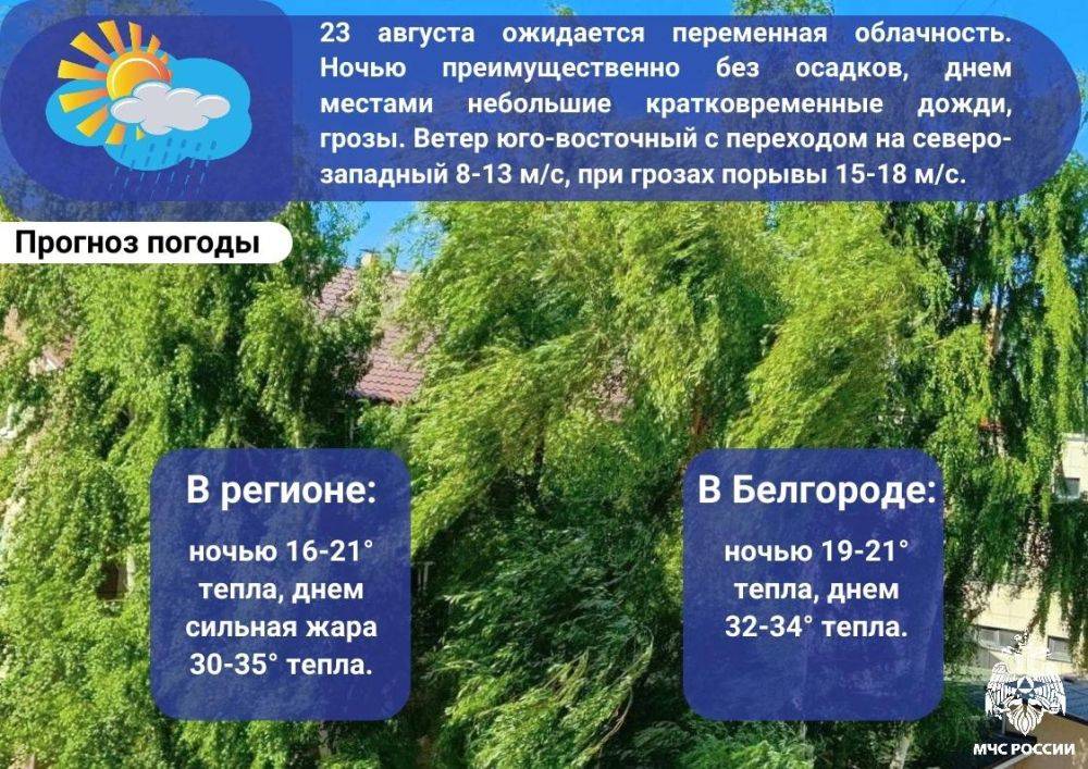 В пятницу ожидается сильная жара до 35 и порывы ветра до 18 м/с