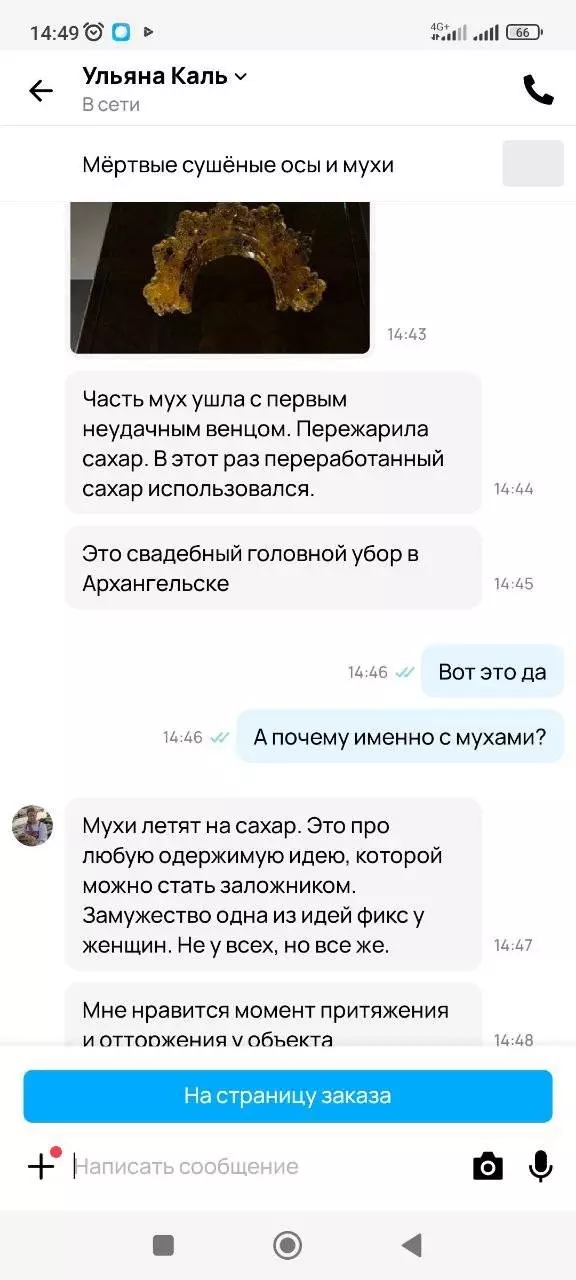 Свадебный венец из дохлых мух, собранных белгородкой, попал в Новую Третьяковку7