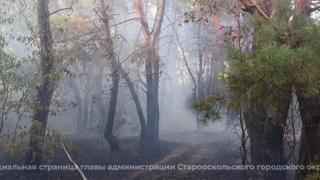 Пожар в Старооскольском горокруге