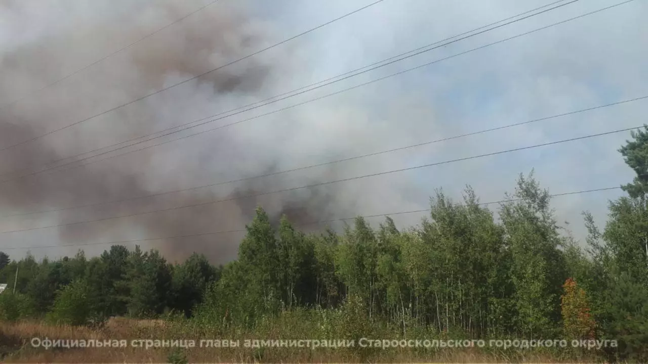 Пожар в Старооскольском горокруге