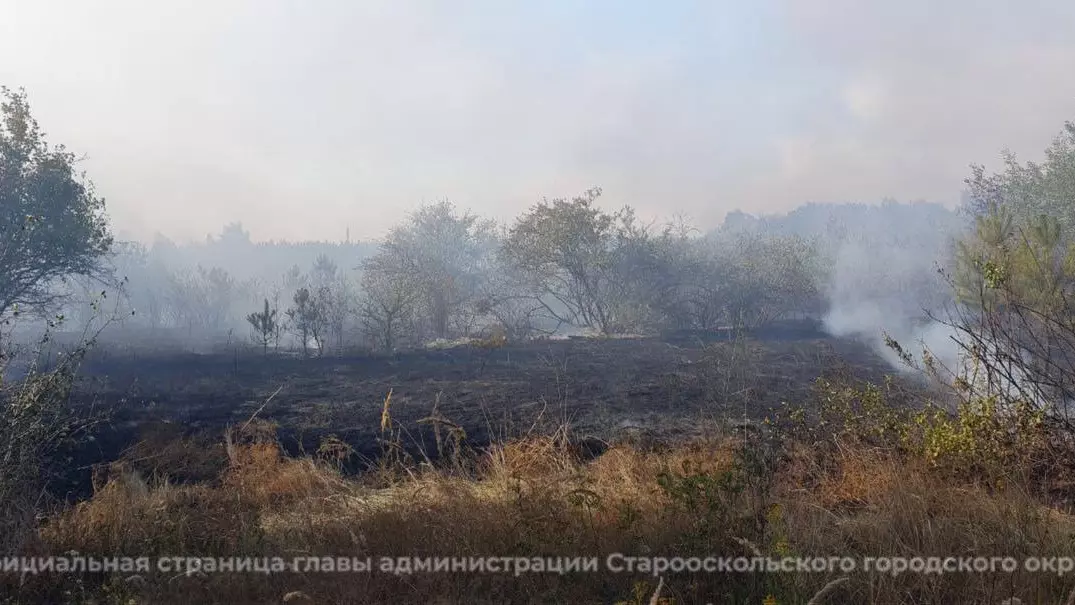 То вода, то огонь: в Старооскольском горокруге борются с ещё одной проблемой6