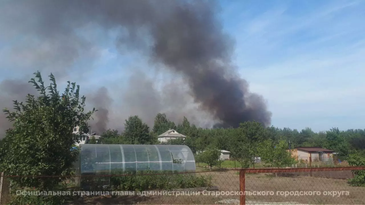 То вода, то огонь: в Старооскольском горокруге борются с ещё одной проблемой7