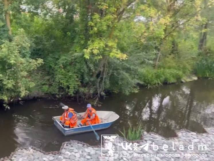 В Белгороде проводят очистку Везелки