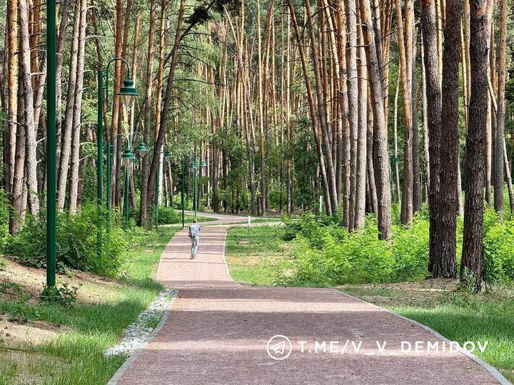 В Белгороде сделали дорожки для бега в Сосновке6