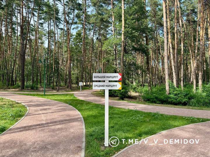 В Белгороде сделали дорожки для бега в Сосновке1