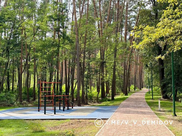 В Белгороде сделали дорожки для бега в Сосновке5