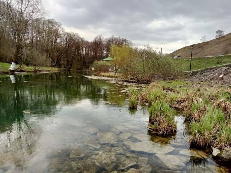 В Белгородской области вновь ожидаются кратковременные дожди