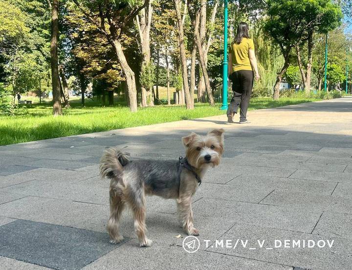 В Центральном парке Белгорода продолжают благоустраивать пешеходные маршруты6