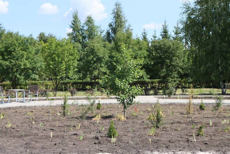 В центре белгородского села Вязовое завершается благоустройство зоны отдыха2