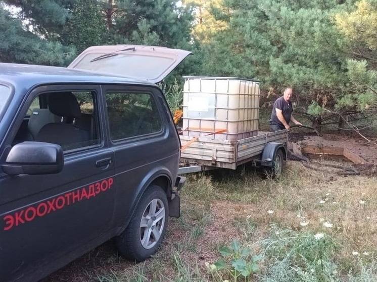 В лесах Белгородской области установили поилки для диких животных