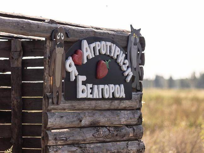 «Не у каждого есть возможность, особенно у городских жителей, купить свежую ягоду, а витаминов всё равно хочется. Тем более...