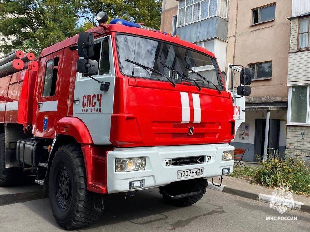 За восемь месяцев 2024 года на территории Белгородской области произошло 1209 пожаров