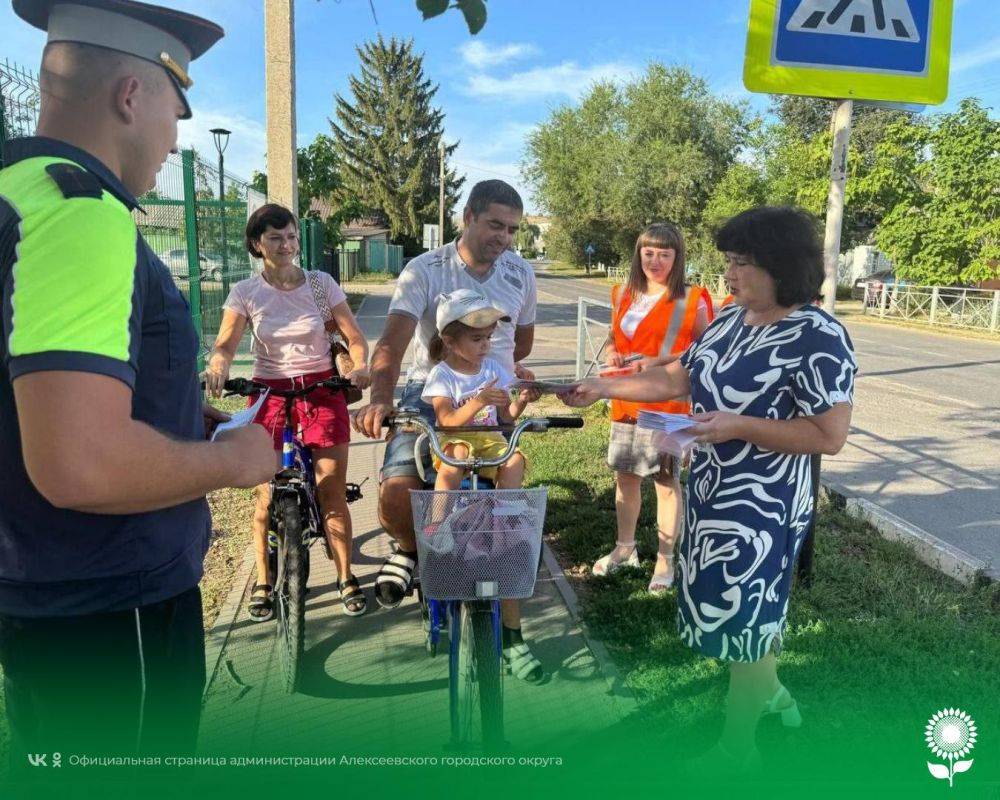 В Алексеевке о детской дорожной безопасности напомнили сотрудники Госавтоинспекции и активные родители детского сада №12 и детского сада № 3